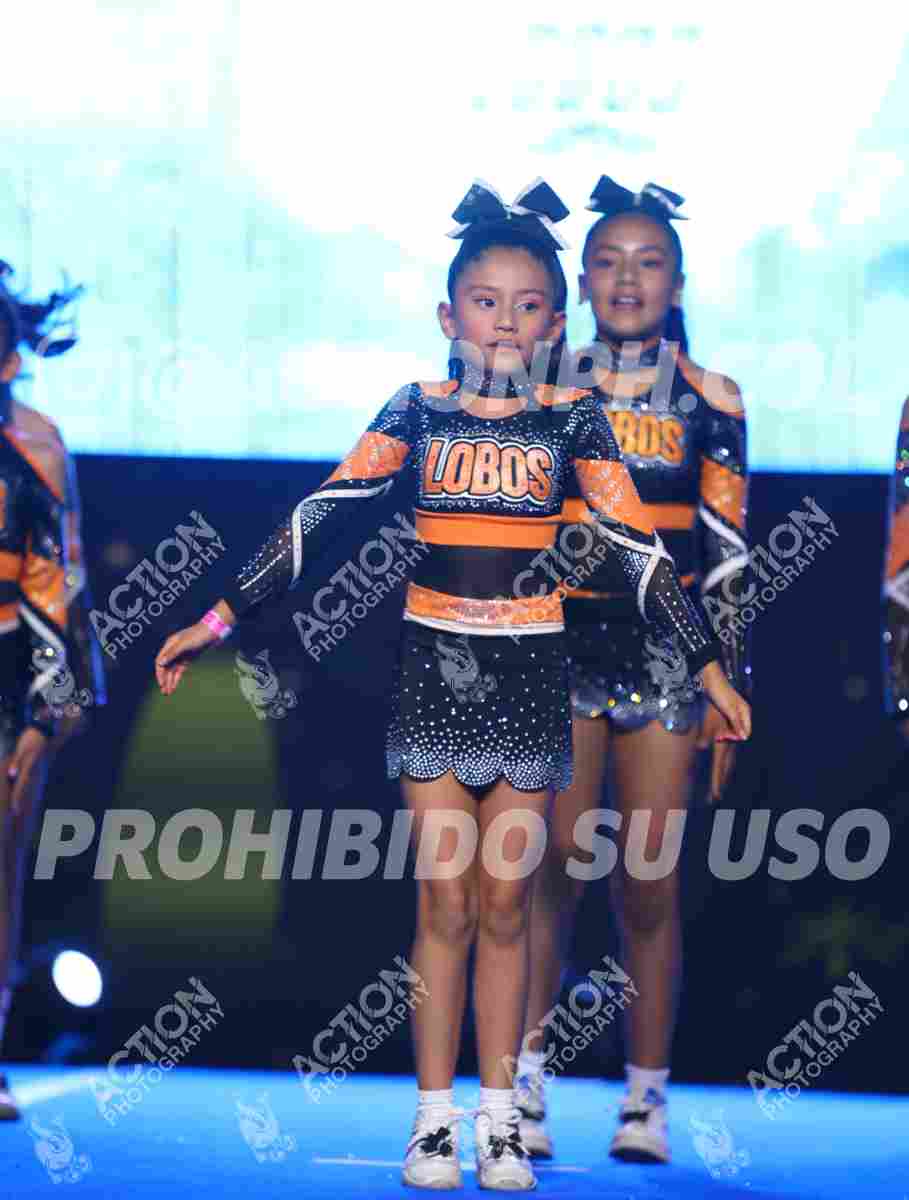 Preview de CLUB LOBOS ORANGE ALL STARS