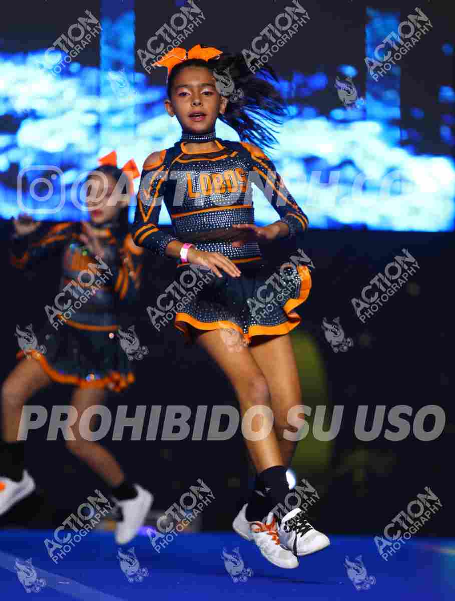 Preview de CLUB DEPORTIVO LOBOS ALL STARS