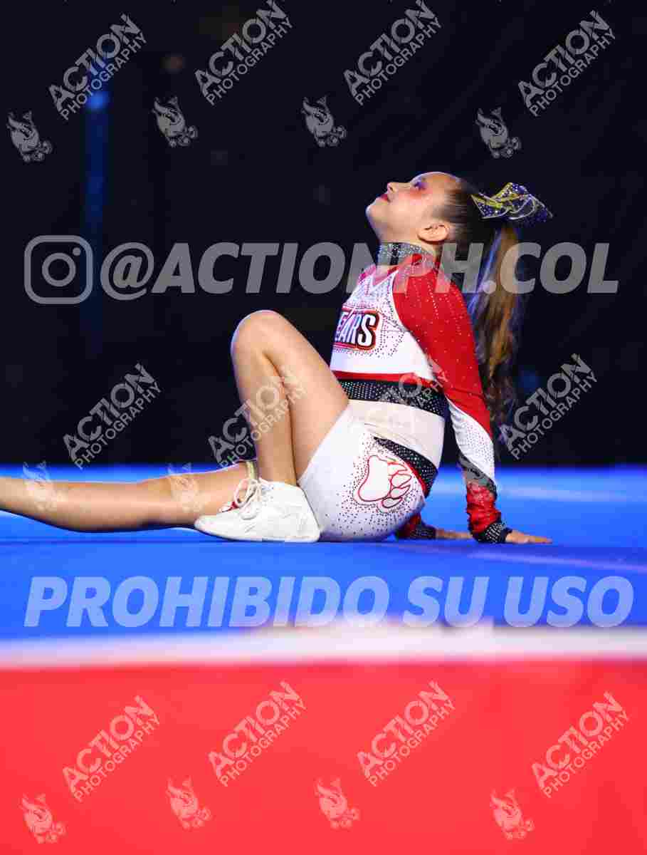 Preview de BEARS MAGIC ALL STARS, BEARS ALL STARS