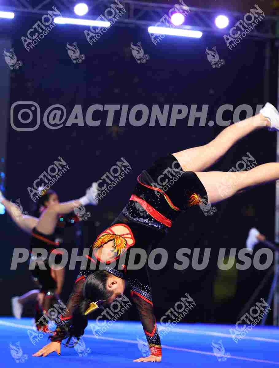 Preview de CLUB DEPORTIVO VICTORY FENIX ALL STARS