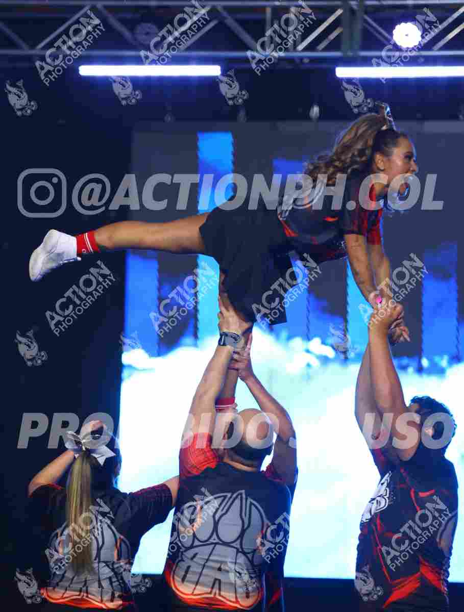 Preview de BIG BEARS A LL STARS, BEARS ALL STARS