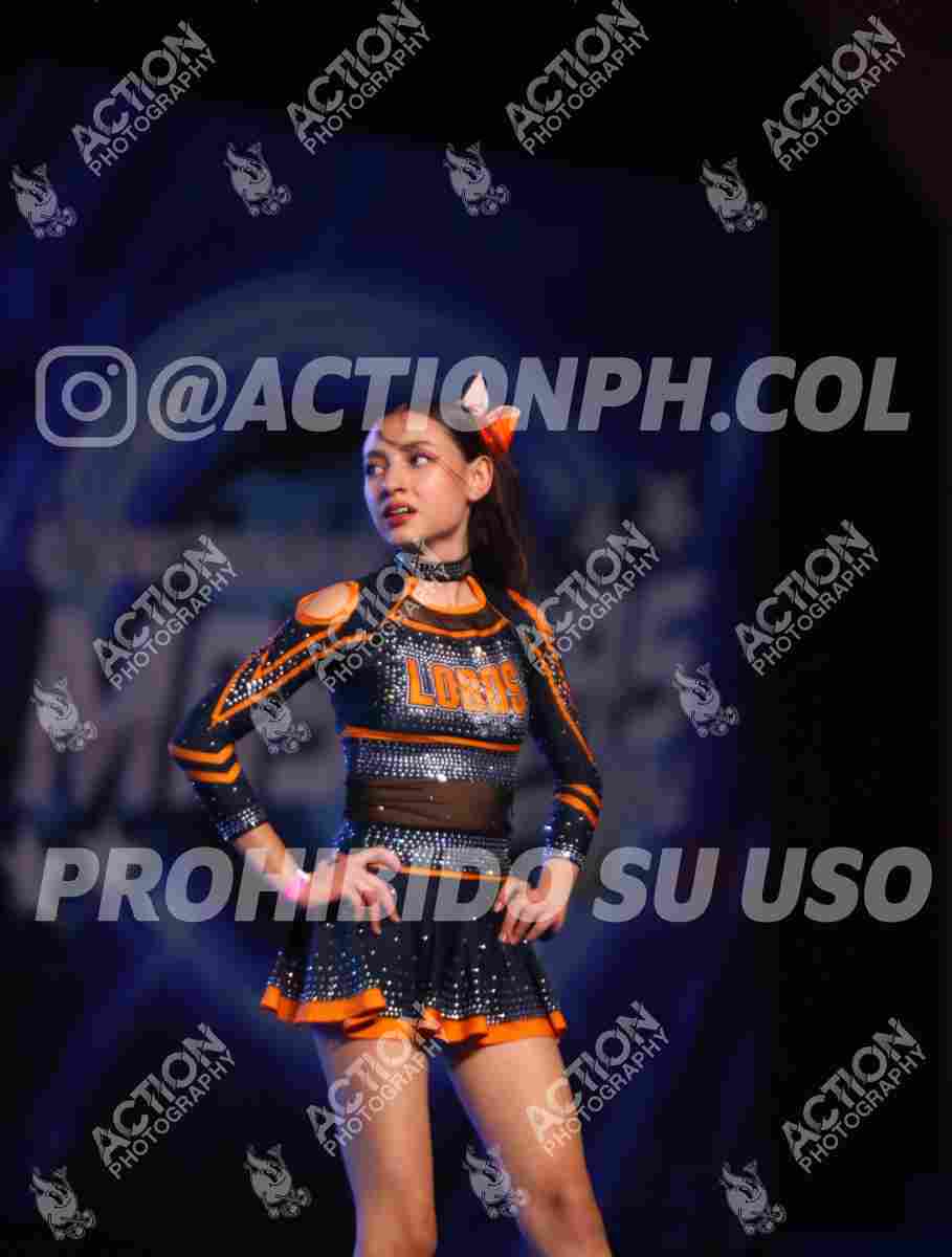 Preview de CLUB DEPORTIVO LOBOS ALL STARS