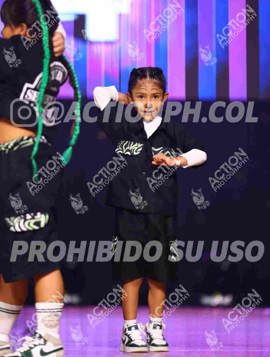 Preview de STUDIO 74