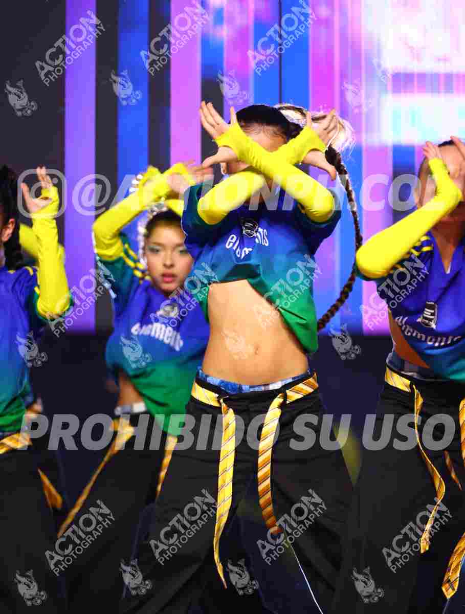 Preview de ELEMENTS DANZA