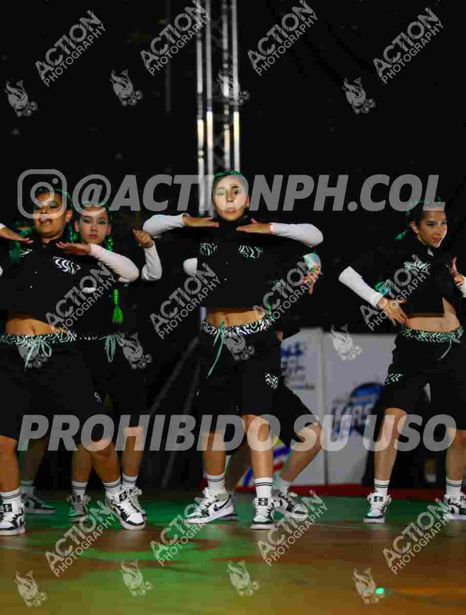 Preview de STUDIO 74