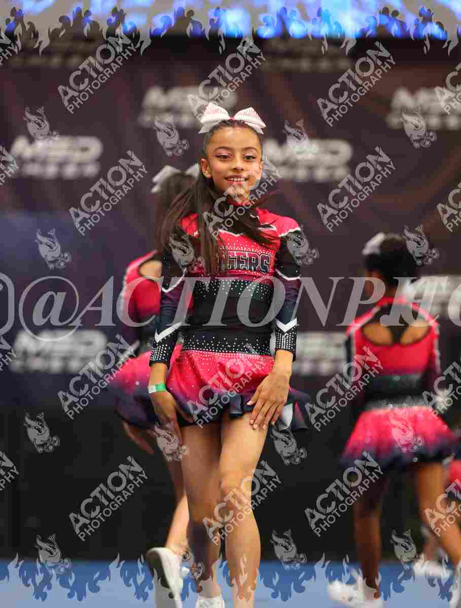 Preview de Tigers