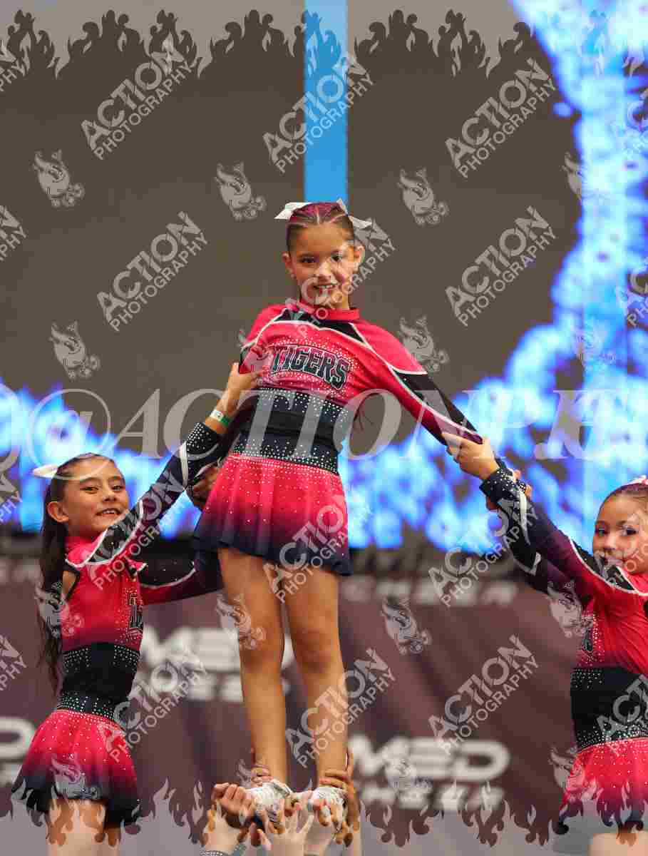 Tigers Foto 1