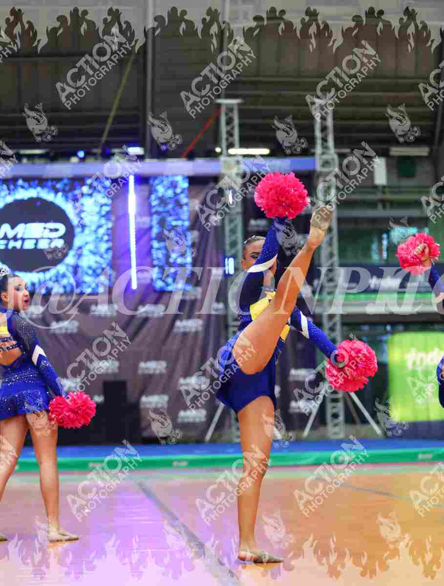 Preview de Junior Amarillo