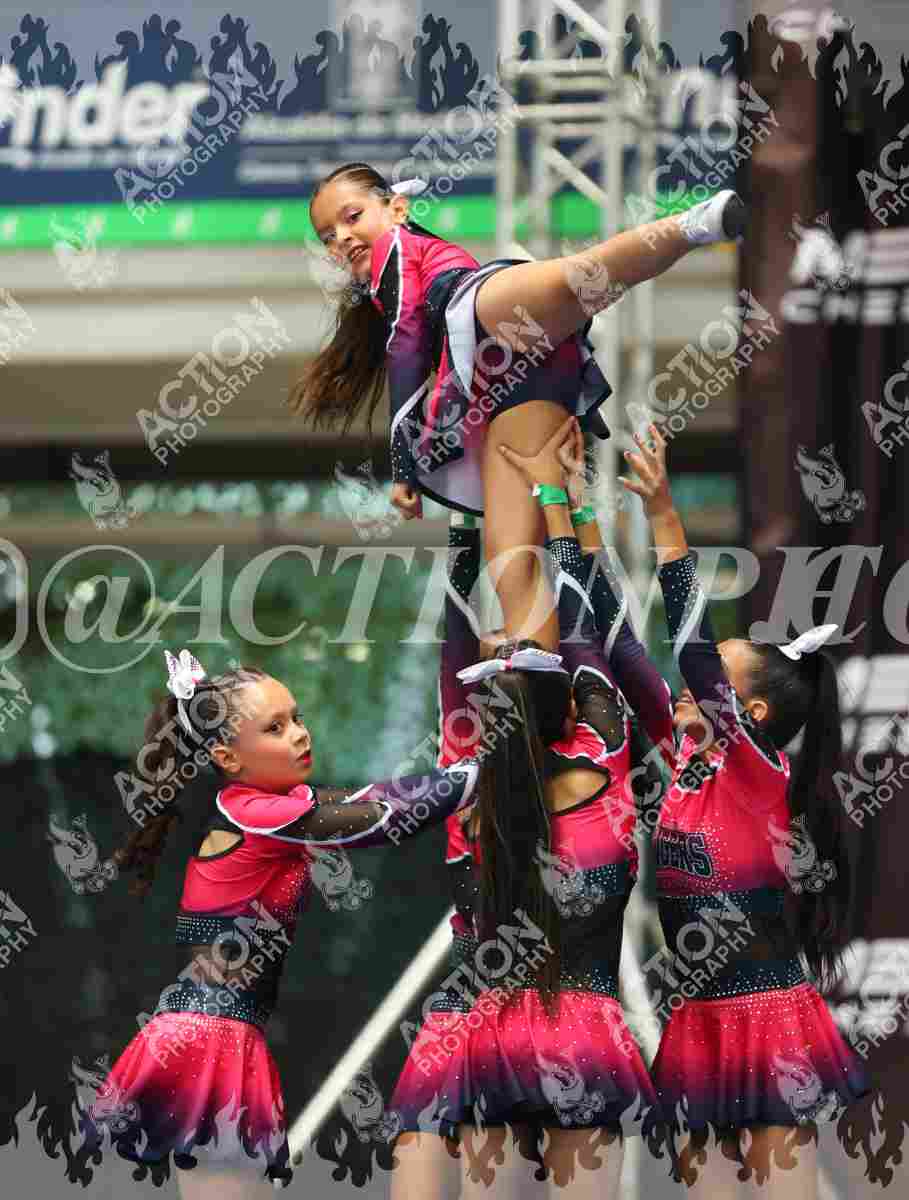 Preview de Tigers