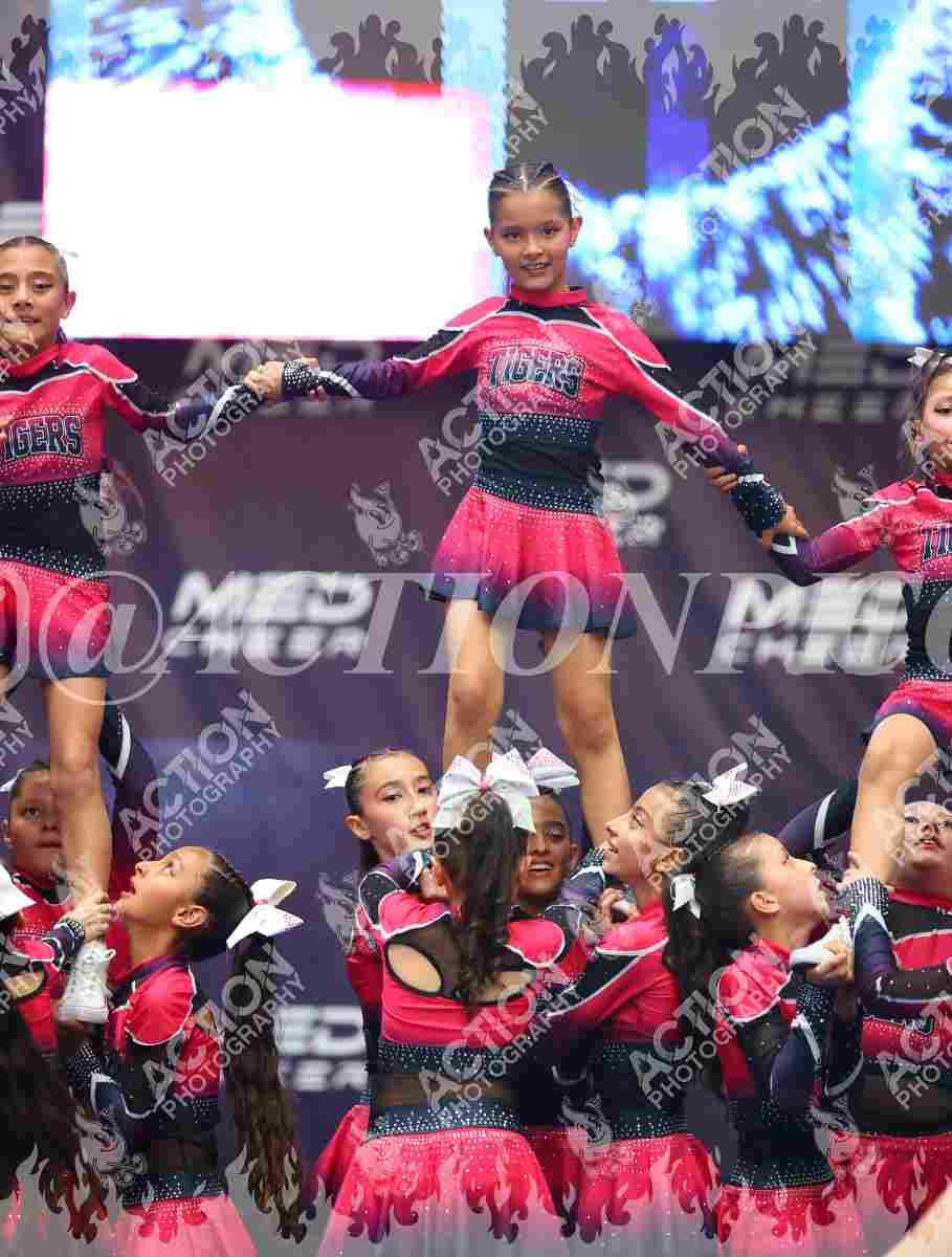 Preview de Tigers