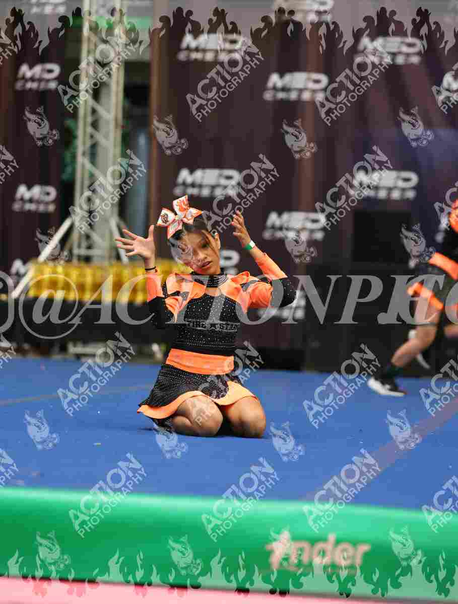Kings Cheer Foto 1