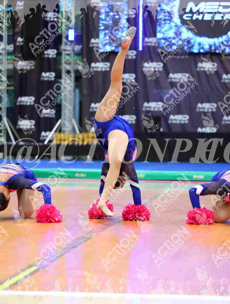 Ladies Foto 1