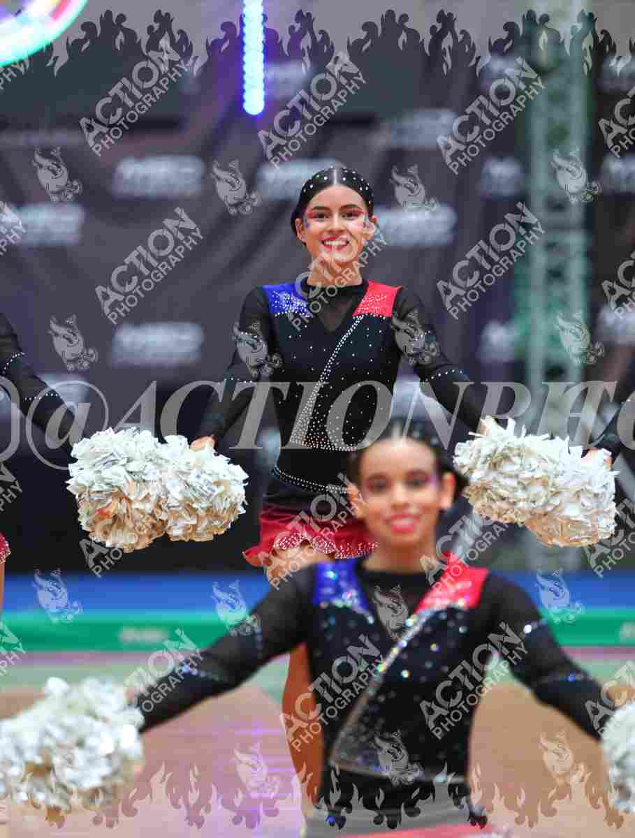 Preview de Colegio Corazonista