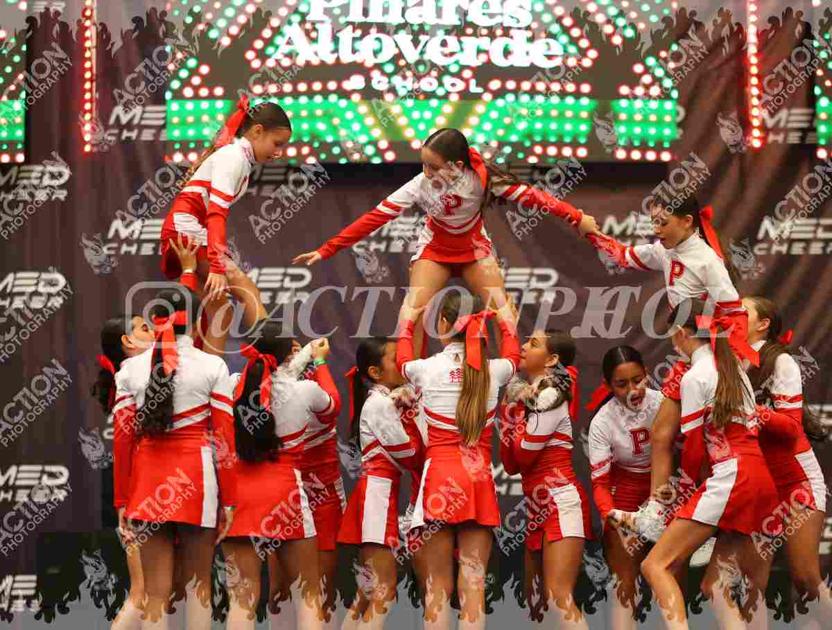 Preview de Colegio Pinares Altoverde