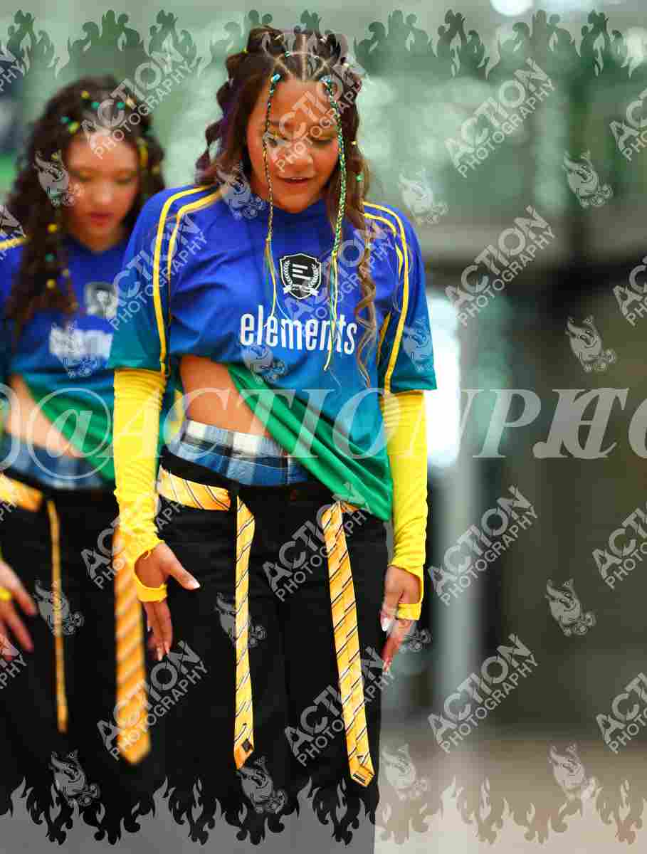 Elements Danza Foto 18