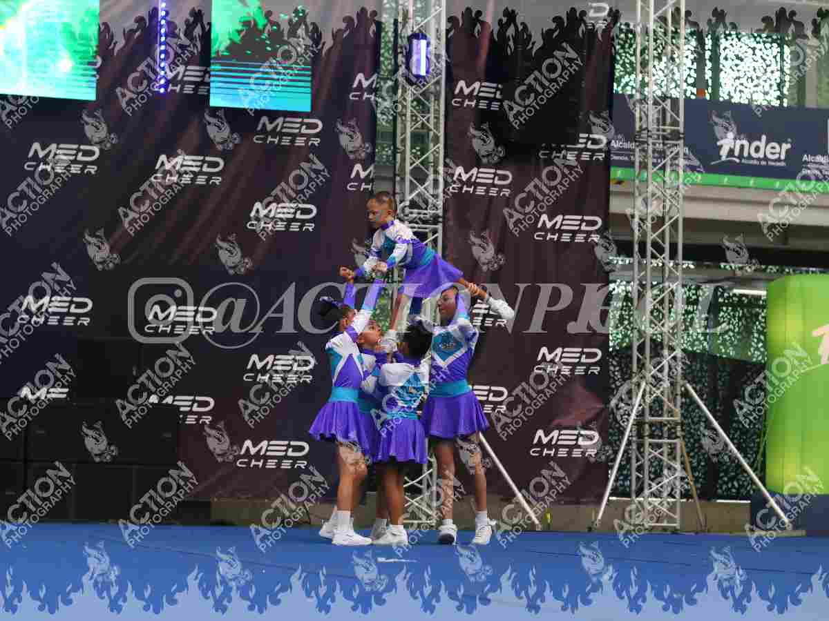 Little Foto 12
