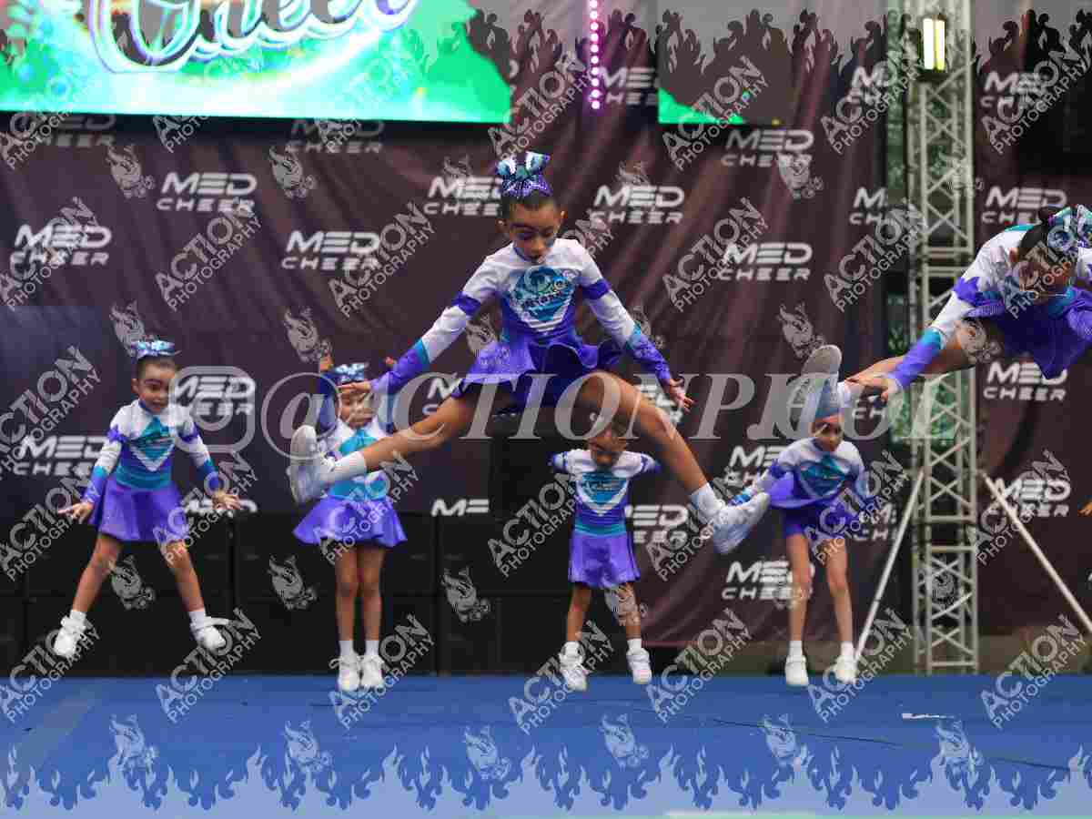Preview de Little
