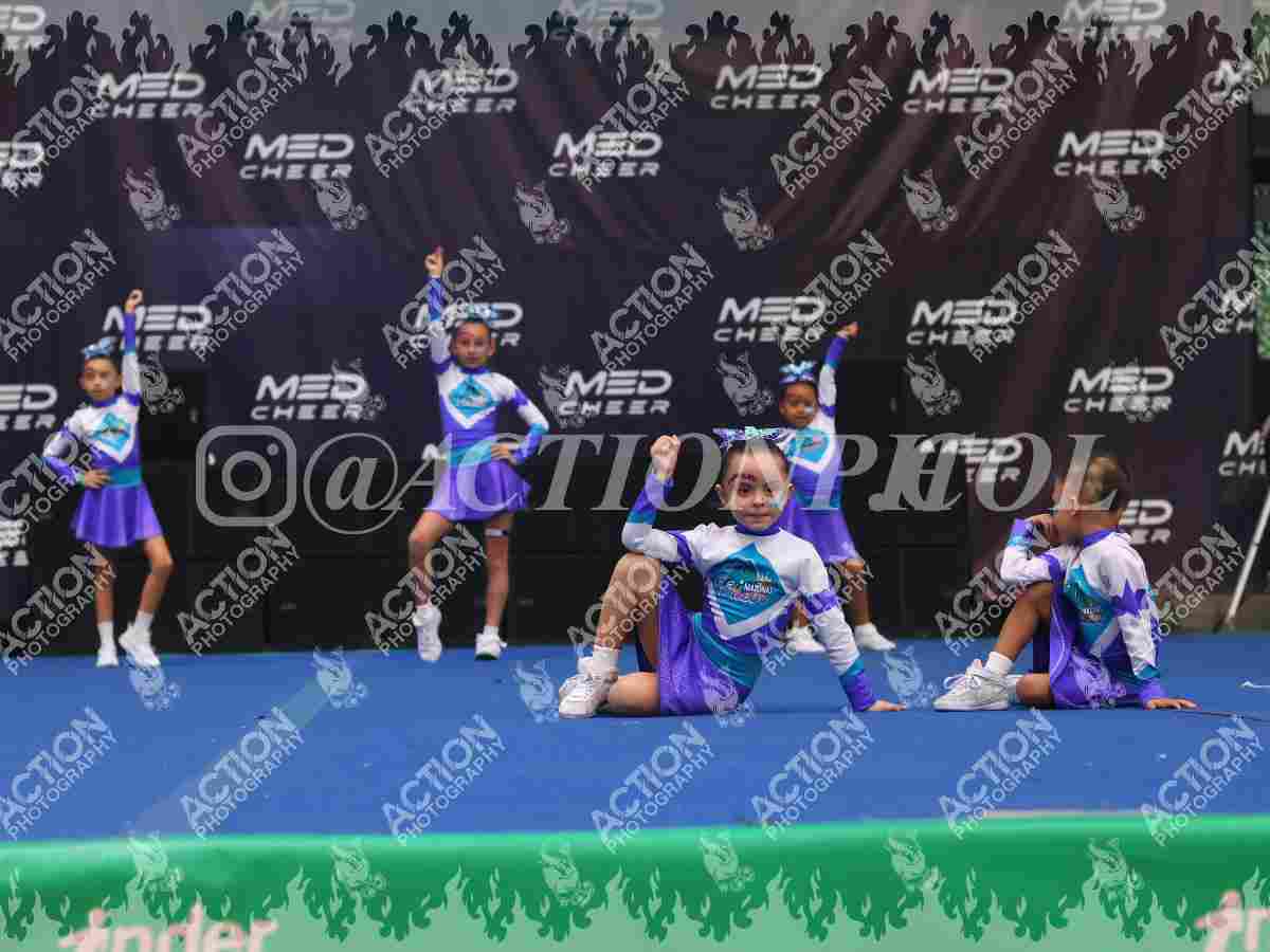 Little Foto 1