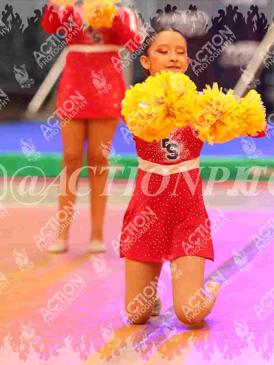 Mini B Foto 17