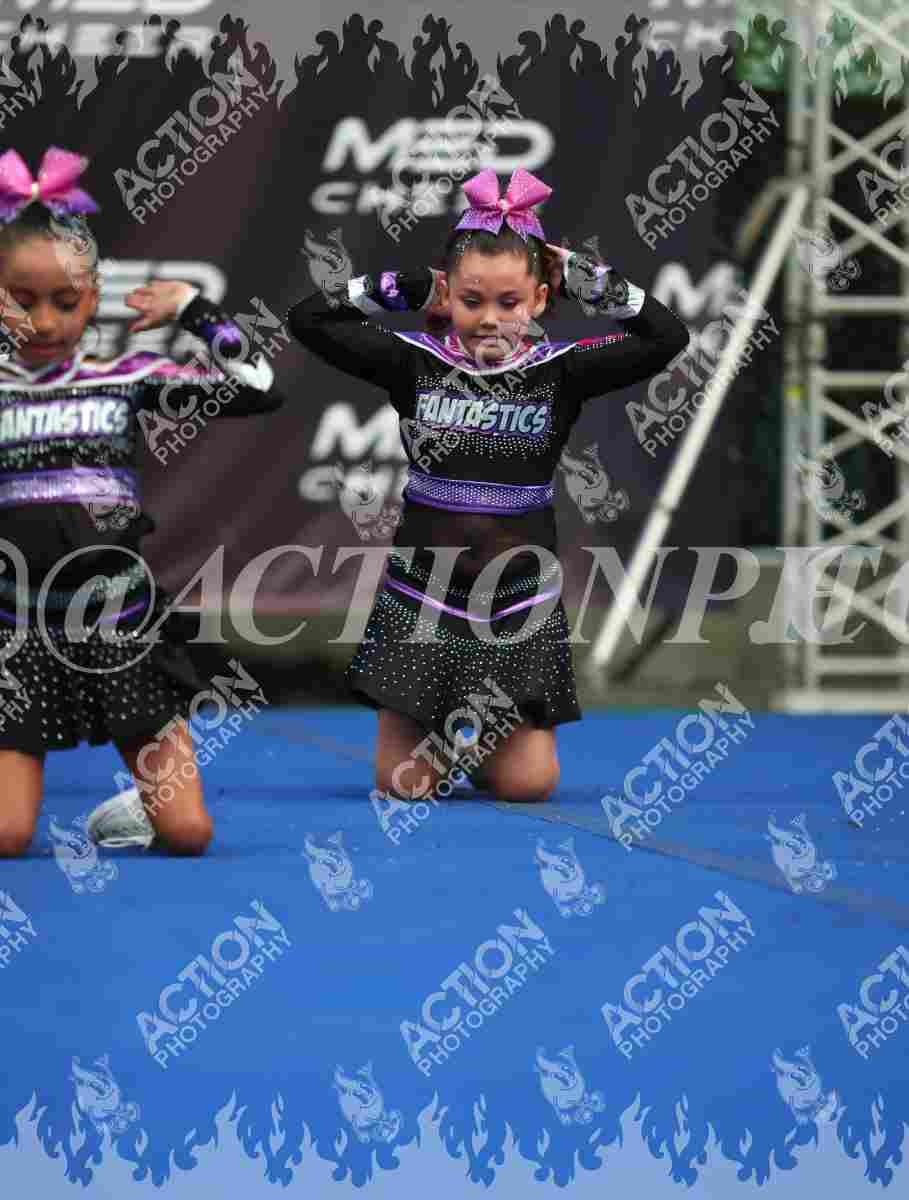 Fantastics Foto 8