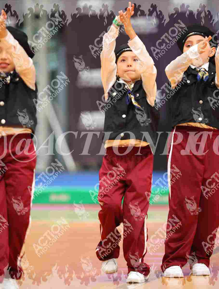 Artic Foto 9