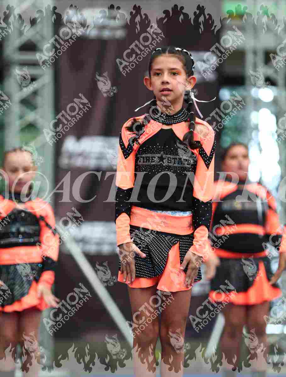 Little Foto 6