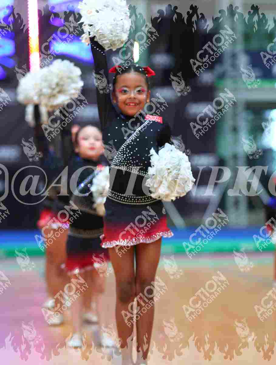 Preview de Colegio Corazonista