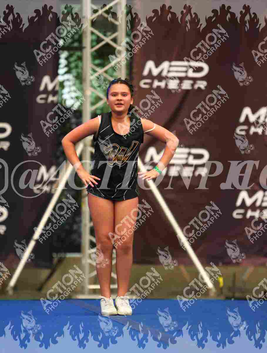 Preview de Wish Cheer