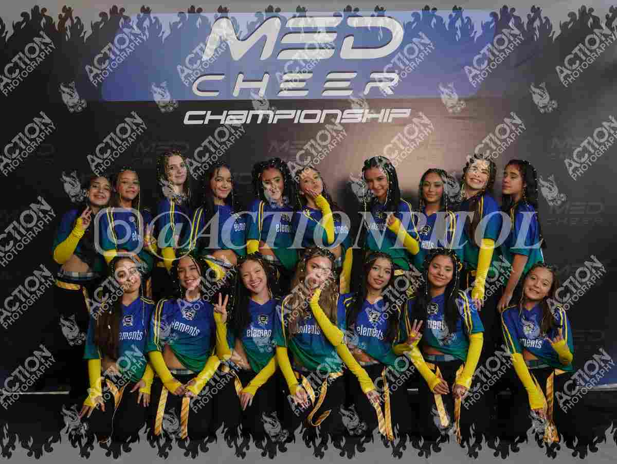 Preview de Elements Danza
