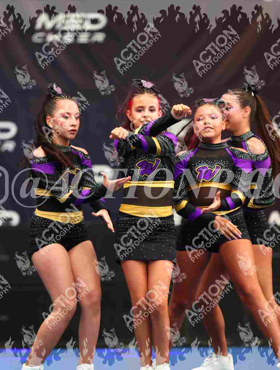 Preview de Wish Cheer