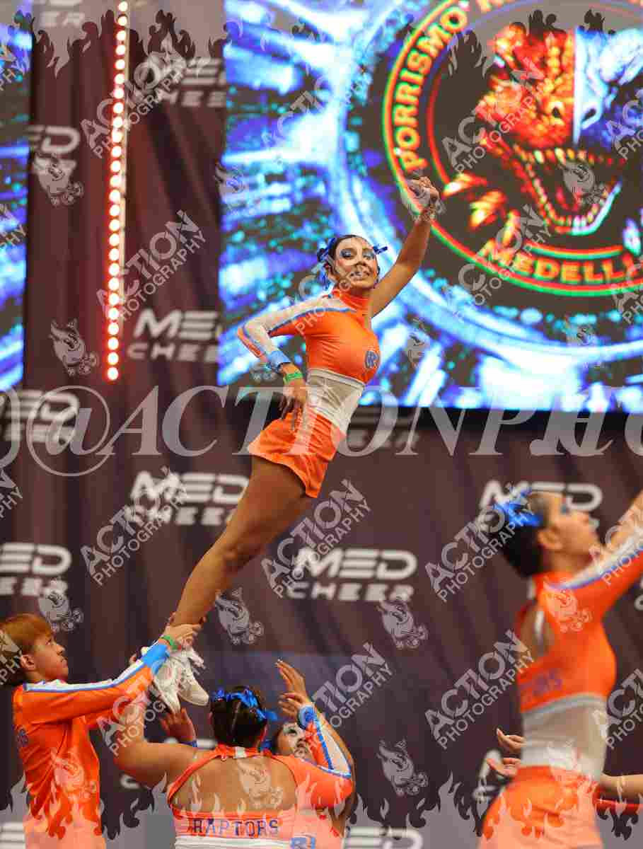 Club deportivo Raptors Foto 9