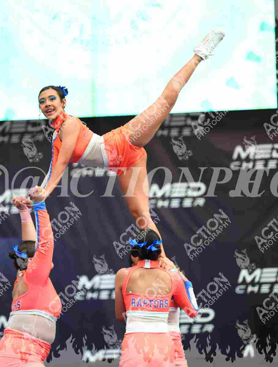 Club deportivo Raptors Foto 7