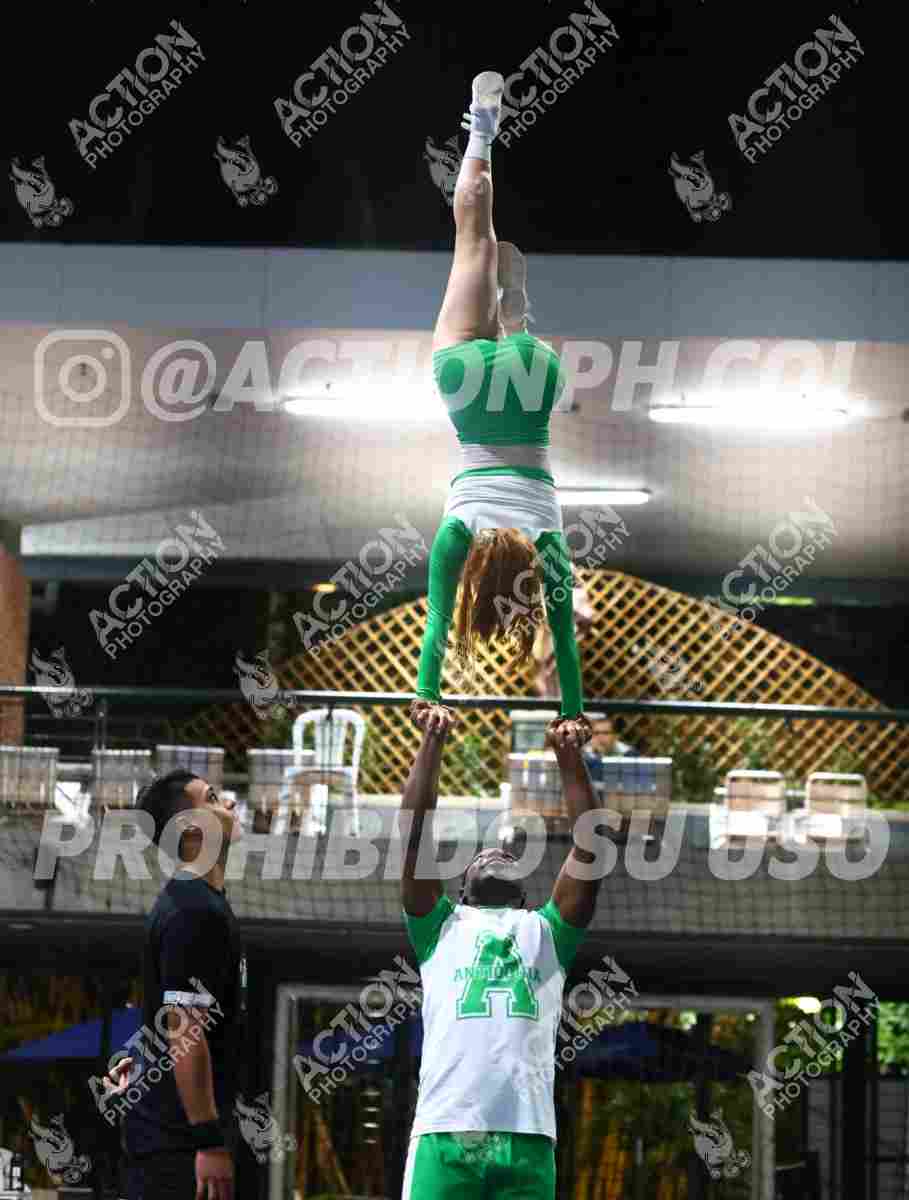 Preview de PARTNER STUNT
