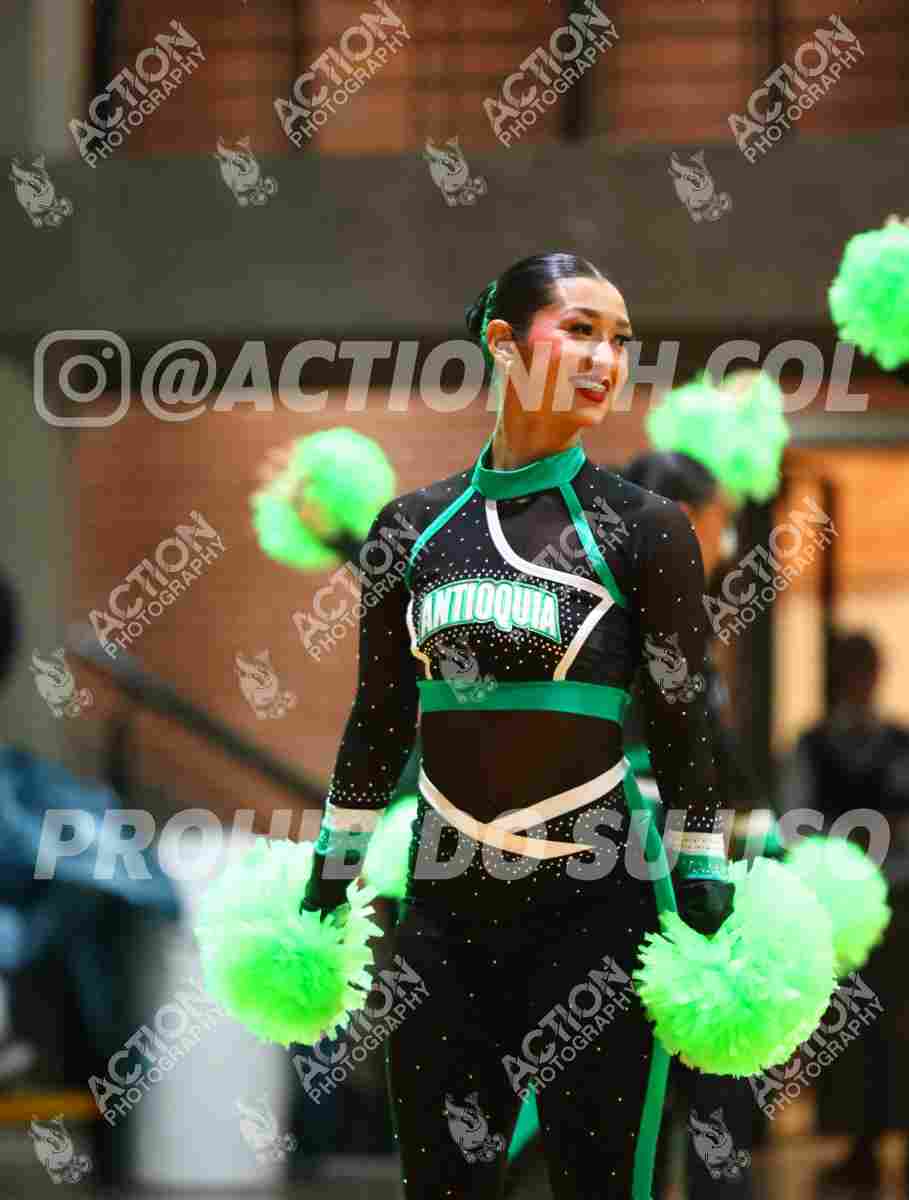 Preview de POM SENIOR