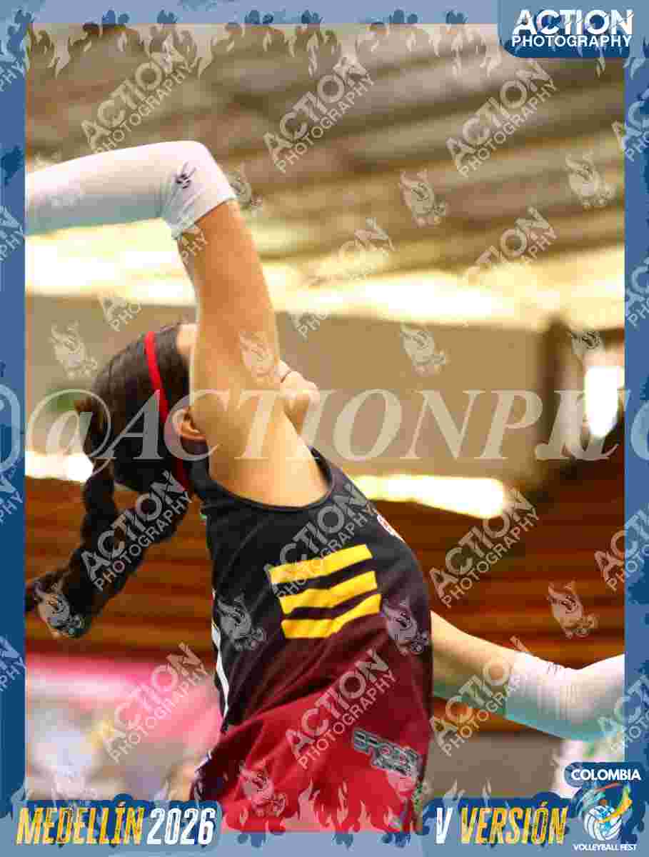 FALCON Foto 1