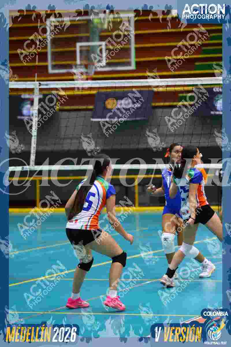Preview de POTROS SPORTS BLUE