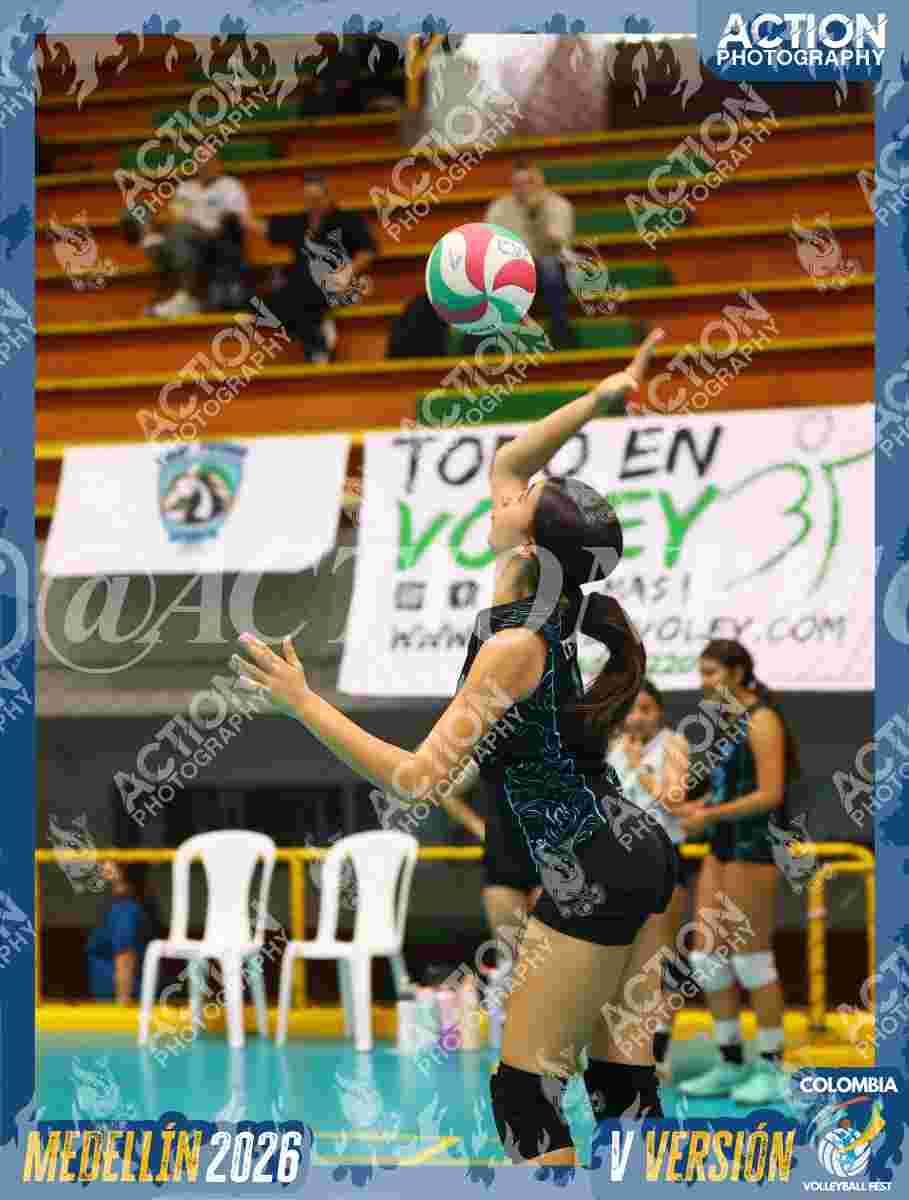 Preview de TEAM EVG