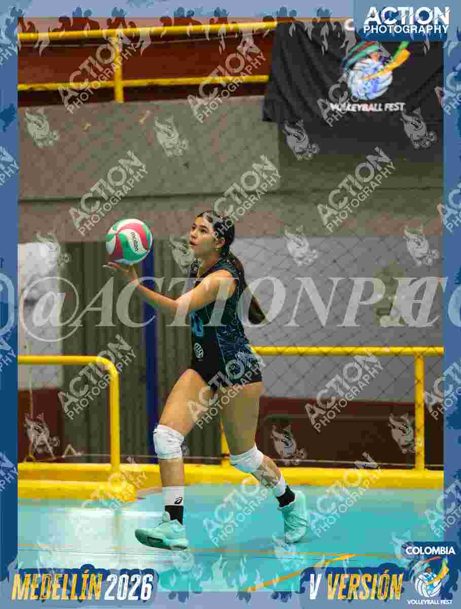 Preview de TEAM EVG