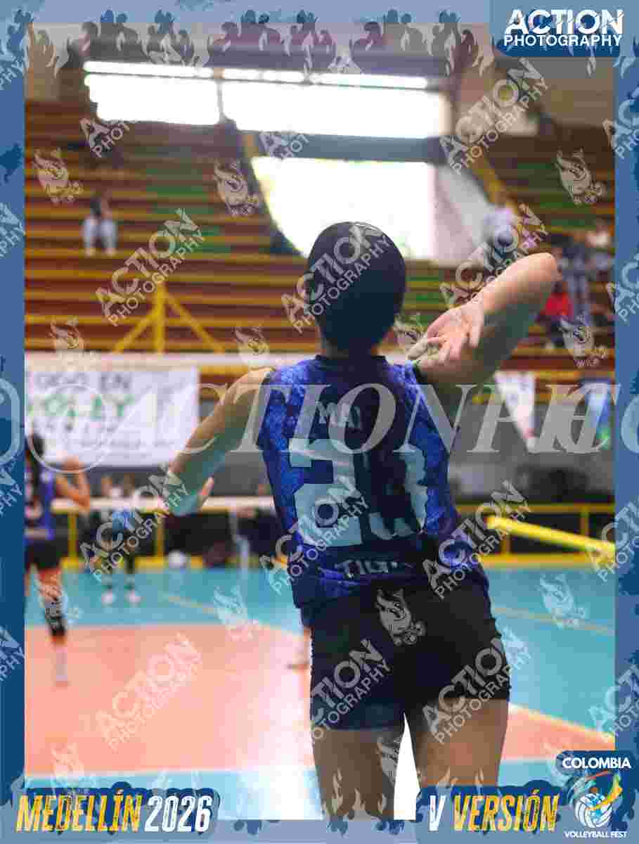TIGRES 2013 Foto 8