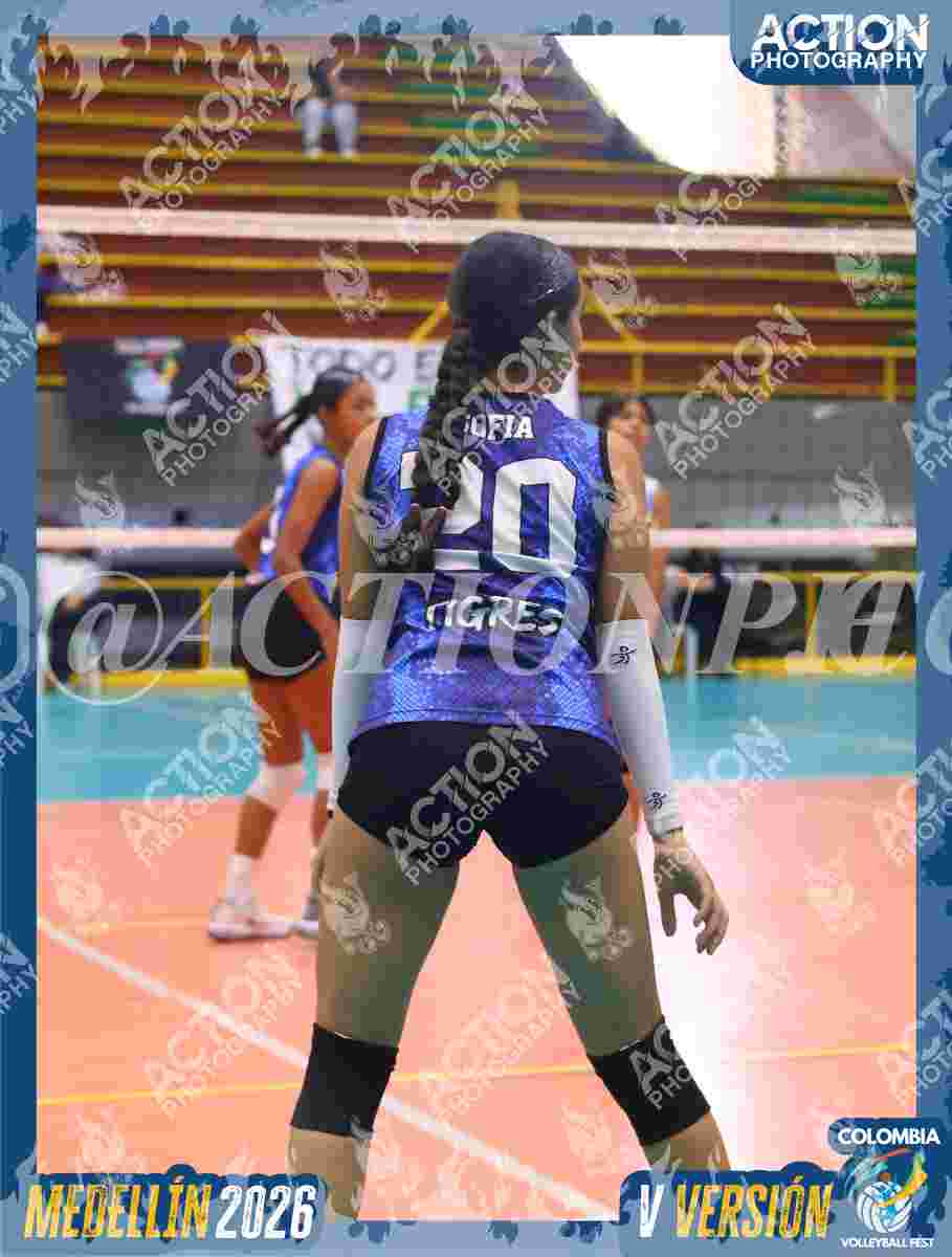 TIGRES 2013 Foto 1