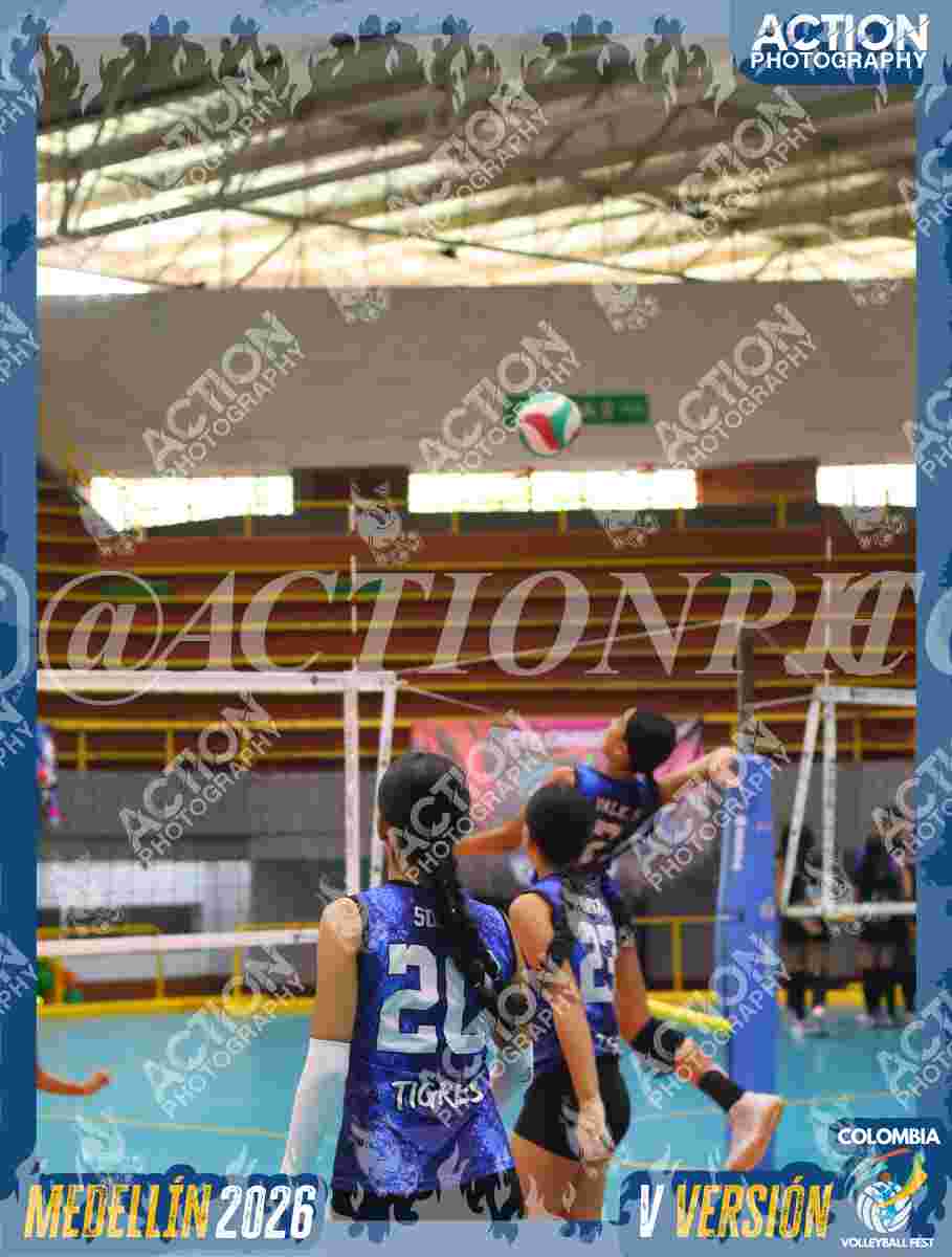TIGRES 2013 Foto 1
