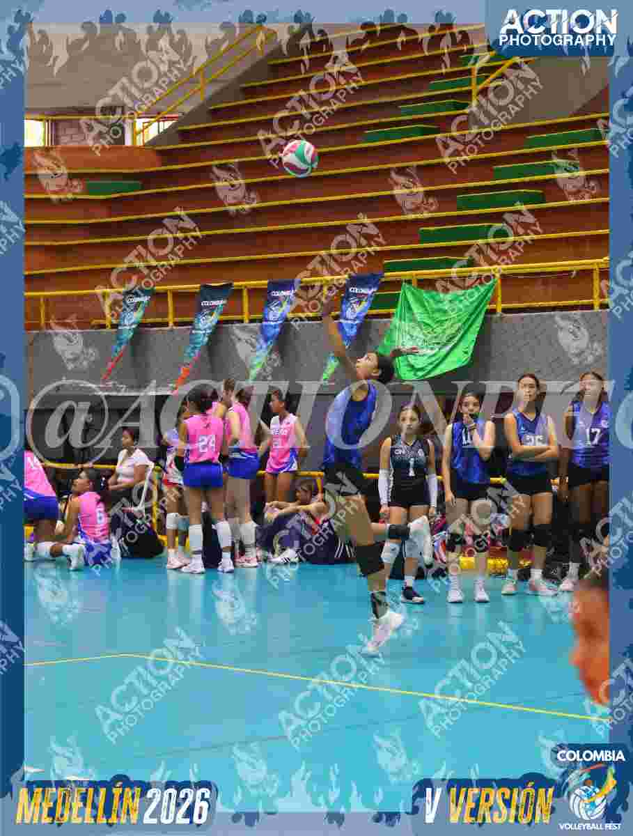 TIGRES 2013 Foto 8
