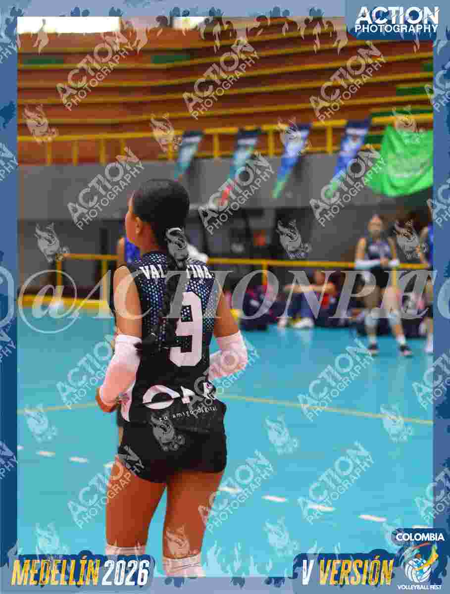 TIGRES 2013 Foto 1