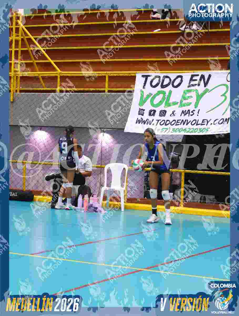 Preview de TIGRES 2013