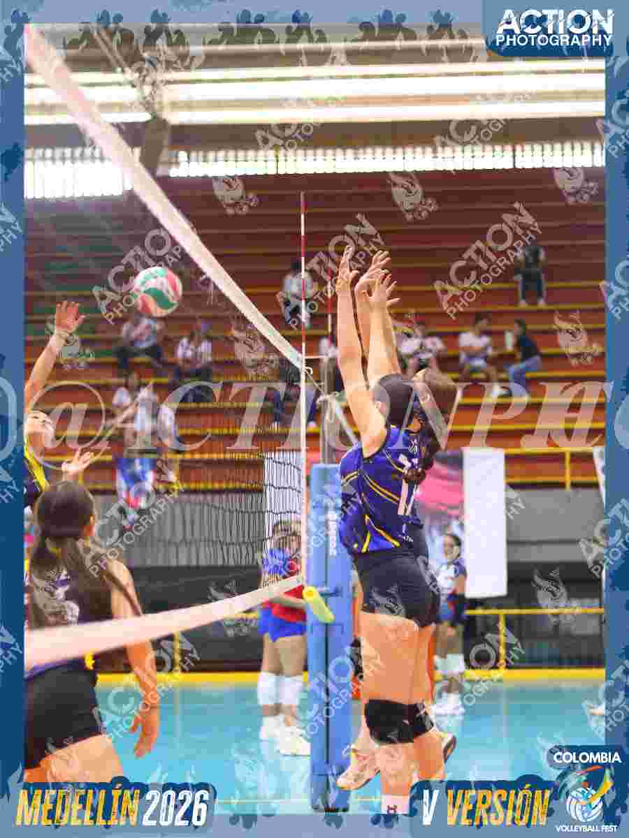 TIGRES DEL VOLEY Foto 1