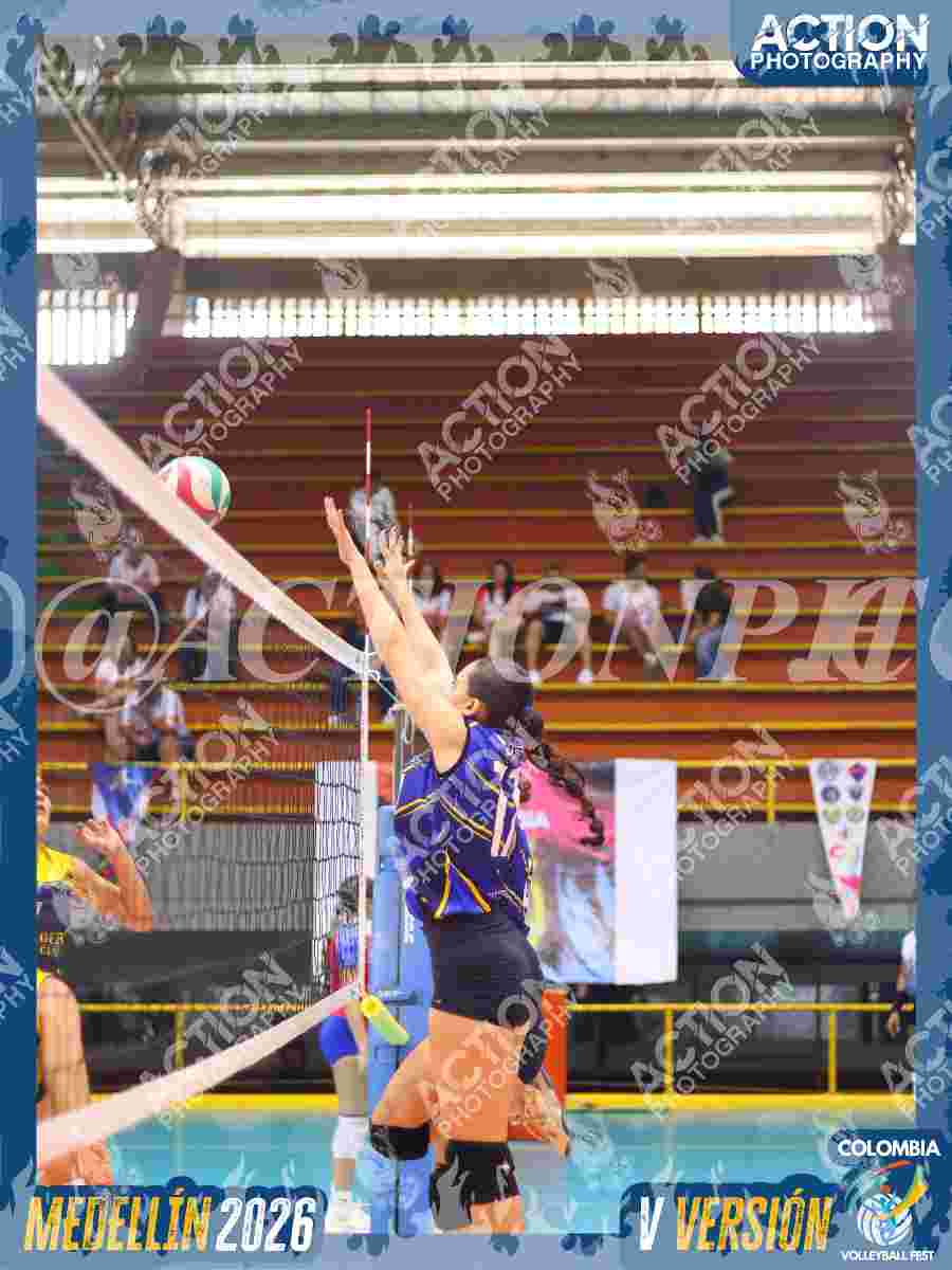 TIGRES DEL VOLEY Foto 1