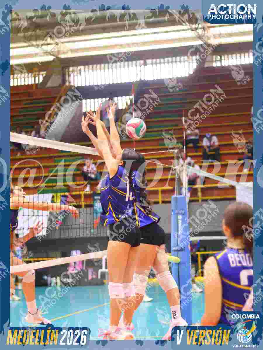 Preview de TIGRES DEL VOLEY