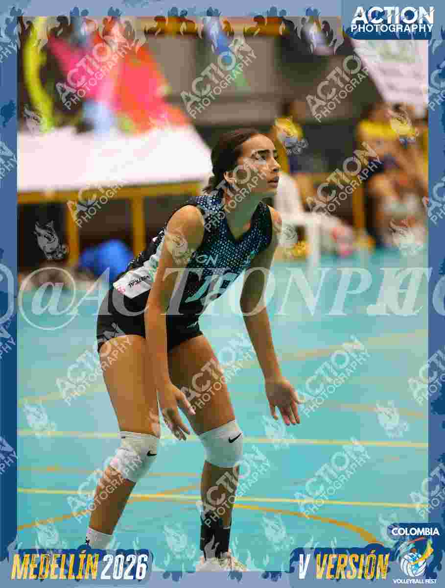 TIGRES S Foto 6