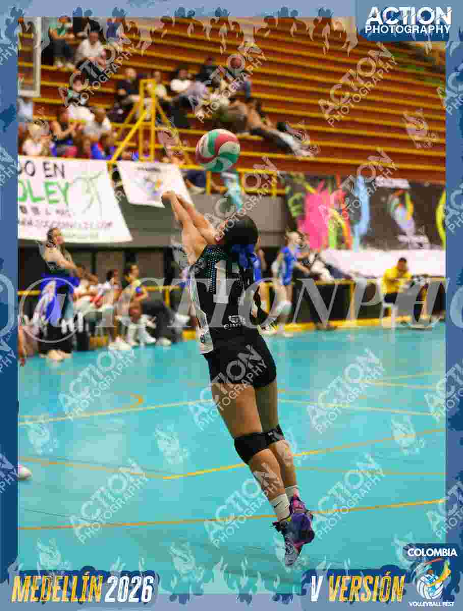 TIGRES S Foto 1