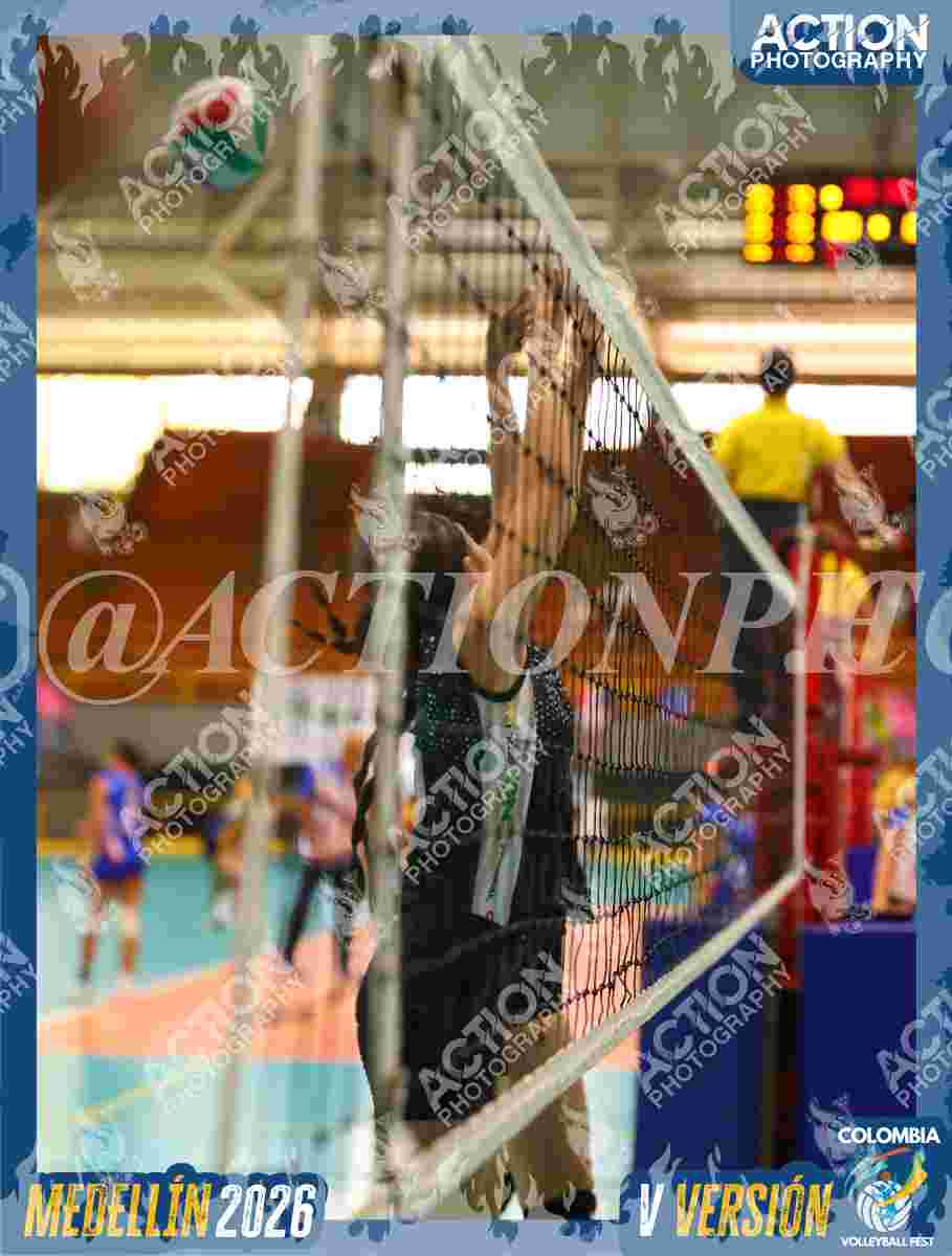 TIGRES S Foto 1